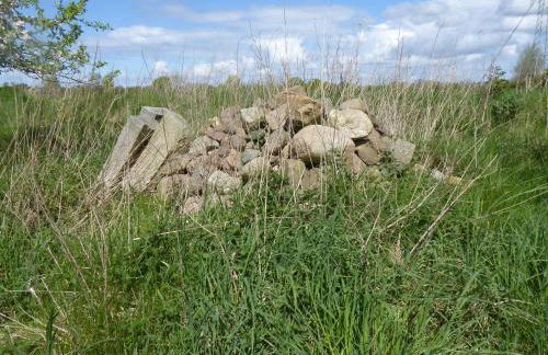 Erholung auf dem Land zwischen Ostsee und Schlei - Foto 37