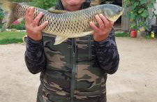 HEXAGON HONEY HOUSE+ prywatna plaża+jezioro+ stawy+ gospodarstwo+ pasieka - Foto 36