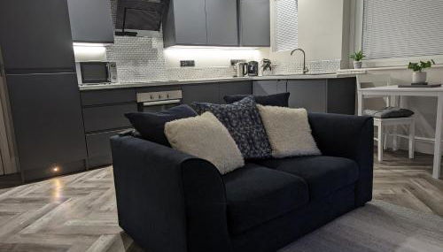 Wellington Circus - Photo 3, stove, dishwasher, pet friendly, minibar