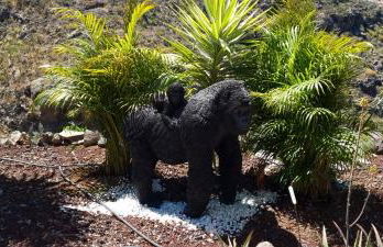 Etoile arc-en-ciel - Foto 23