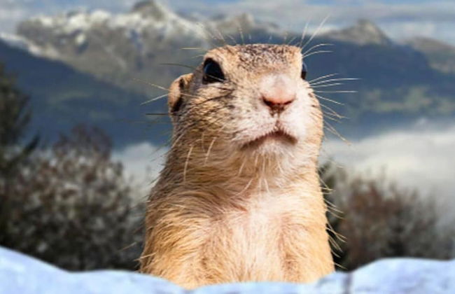 Residence L'Horizon Blanc - Photo 53