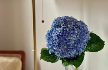 Solar de Sant'ana - Photo 48