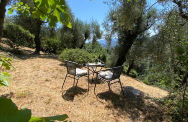 Le Mas Sainte Thérèse - Foto 16