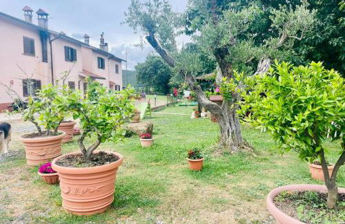 Casa Vacanze La Farfalla di Vittori Fabiola - Foto 19