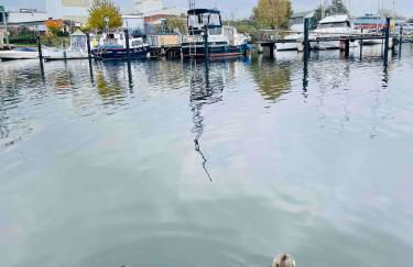 Hausboot AHOY Masal - Foto 18