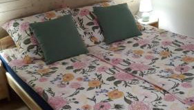 Agroturystyka Cieślarówka - Foto 3