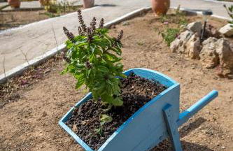 Firoa Studios - Photo 47