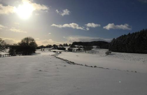 The Barn at Pentregaer Ucha, with tennis court and lake - Foto 28
