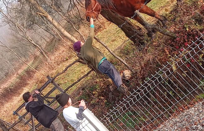 Room in Guest Room - Cozy Rural Retreat in Roşia Montana - Photo 38