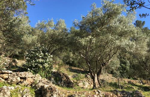 Le Relais du Gapeau - Foto 16