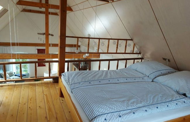 Zonnehof in het Geiseltal - Foto 2