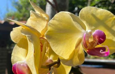 Casa 10 suítes, até 64 pessoas, Praia Ferradura - Foto 58