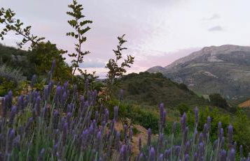 Finca Las Morenas - Foto 20