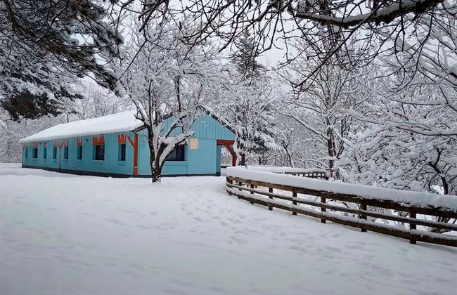 Complejo Bubal Formigal 3000 - Foto 1