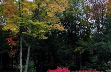 NatureGlow Residence Stylish Contemporary Home - Foto 34