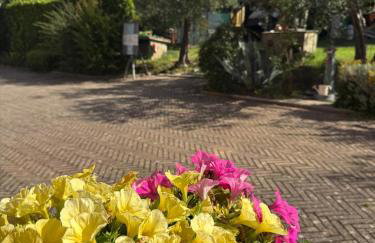 Le Coccole Del Trasimeno - Foto 34