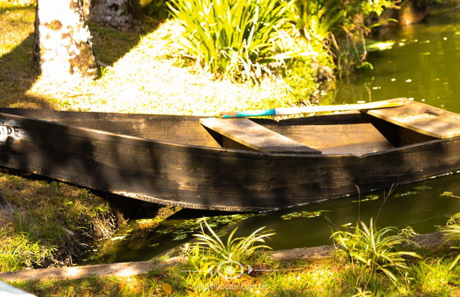 Sítio Morada do Pai - Foto 50