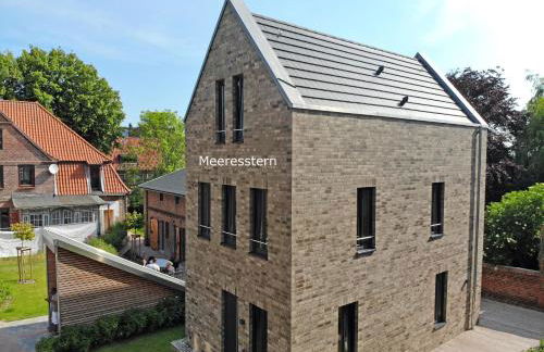 Meeresstern - Photo 41