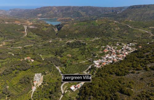 Evergreen - Photo 36