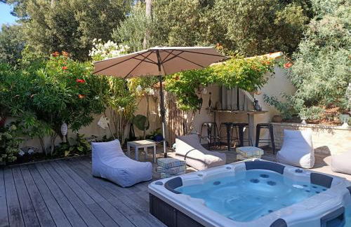 Pomme de Pin et Mimosa - Foto 6