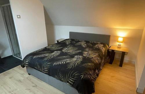 Gîte L'Après-Ski, Spa, Spacieux - Foto 70