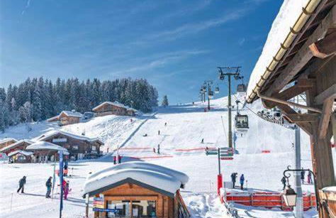 La loge - EN PLEIN COEUR DU VILLAGE - Foto 21