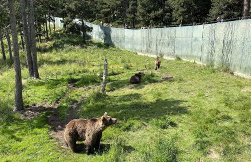 CaLQuEROL 2 penthouse in the downtown - Foto 11