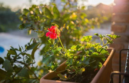 Rogoznicka Oaza 2 - Foto 74