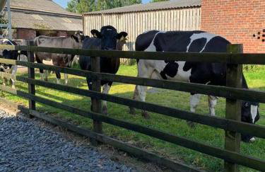 Newton Hall Farm cottage, hot tub garden views Nr Lytham Ribby - Foto 21