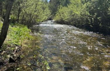 Mariposa Grove Creekside Retreat - To be featured on STAYCATION on the Destination Channel in 2026! - Foto 26