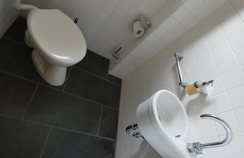 Weisses Huhn von Moschendorf - Photo 19