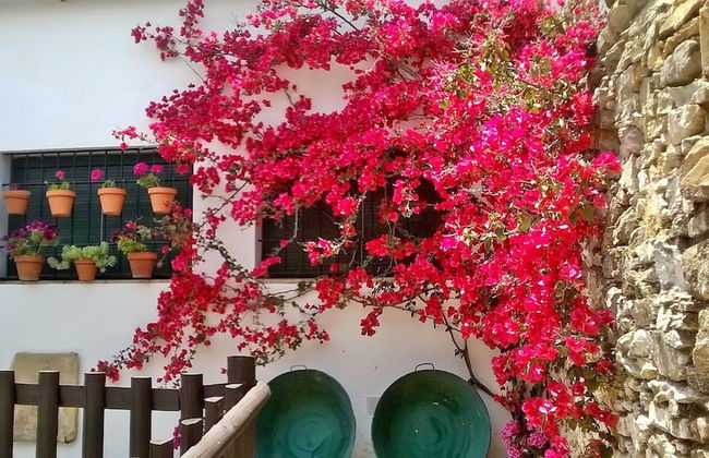 Hostería Casa Adriano - Foto 33