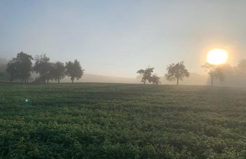 Ferienwohnung Erftal - Foto 10
