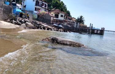 Casa de Junqueira Mangaratiba - Photo 25