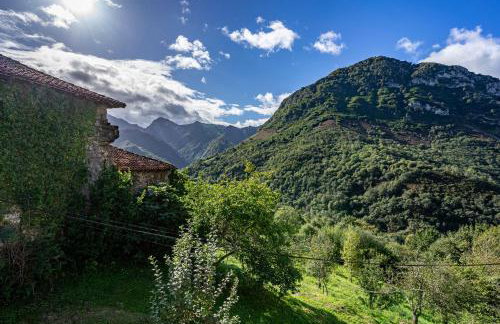 Aguas Parque Ponga - Foto 29