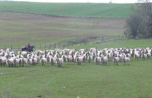 Llanhedric House - Foto 40