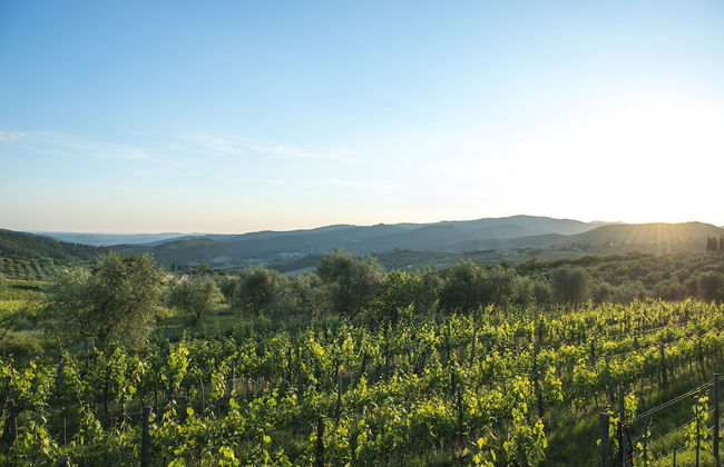 Agriturismo Fattoria Lavacchio - Foto 79