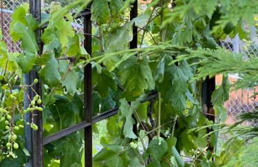 Haus Marta - Photo 53