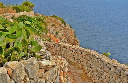 Masseria Tenuta Specolizzi - Foto 114