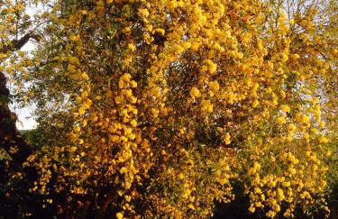 Appartamenti Gli Ulivi Di Maremma - Foto 16