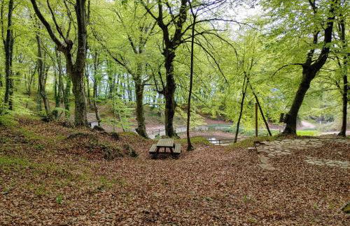 Locazione Turistica Arcobaleno "Family Loft" - Foto 35