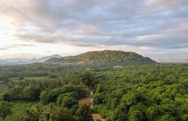 The River House Dambulla by The Serendipity Collection - Foto 22