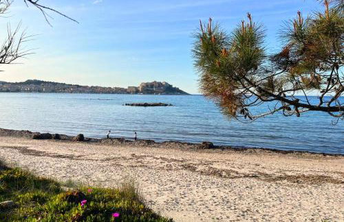 Aux rivages de Sylvie - 150 m de la plage - Foto 3