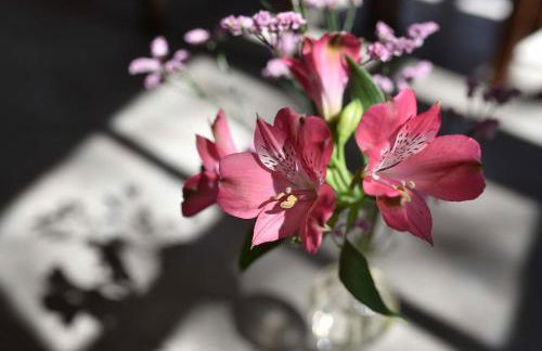 Frühmesserhaus Refugium zu Sanct Kassian - Foto 73