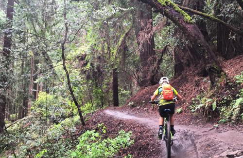 Evergreen Escape - Foto 47