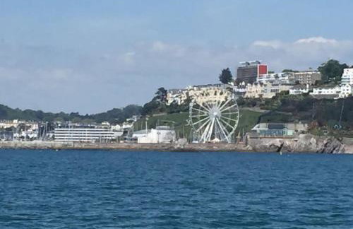 Middle Wicket - Foto 10