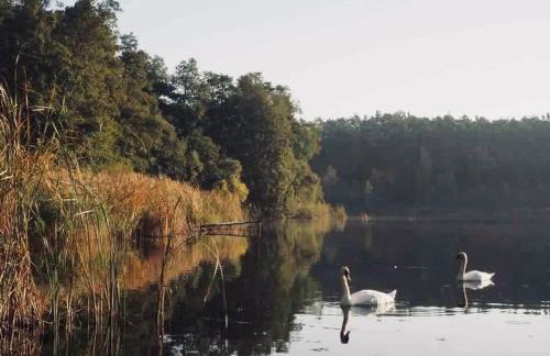 Dom Przemian - Foto 34