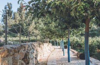 Casa da Mó - Douro - Foto 36