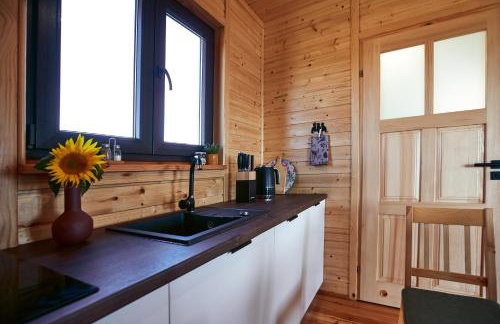 Domki całoroczne DŁUGOSZÓWKA pod Rzeszowem, Jacuzzi-Sauna-Basen-Alpaki - Foto 47