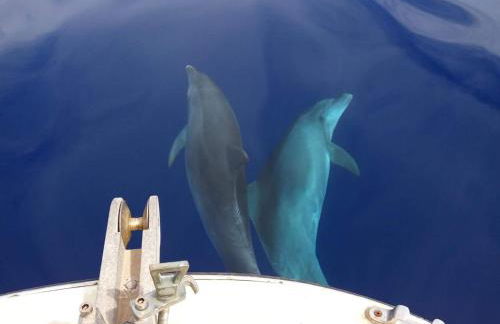 Villaggio Romaniello - Foto 63